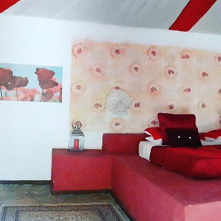 Gecko Nature Lodge Home Of Swahili Divers The Best Dive Center And Famous Gecko Restaurant Verani Exterior photo