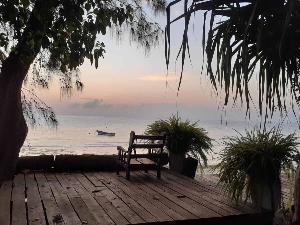 Gecko Nature Lodge Home Of Swahili Divers The Best Dive Center And Famous Gecko Restaurant Verani Exterior photo