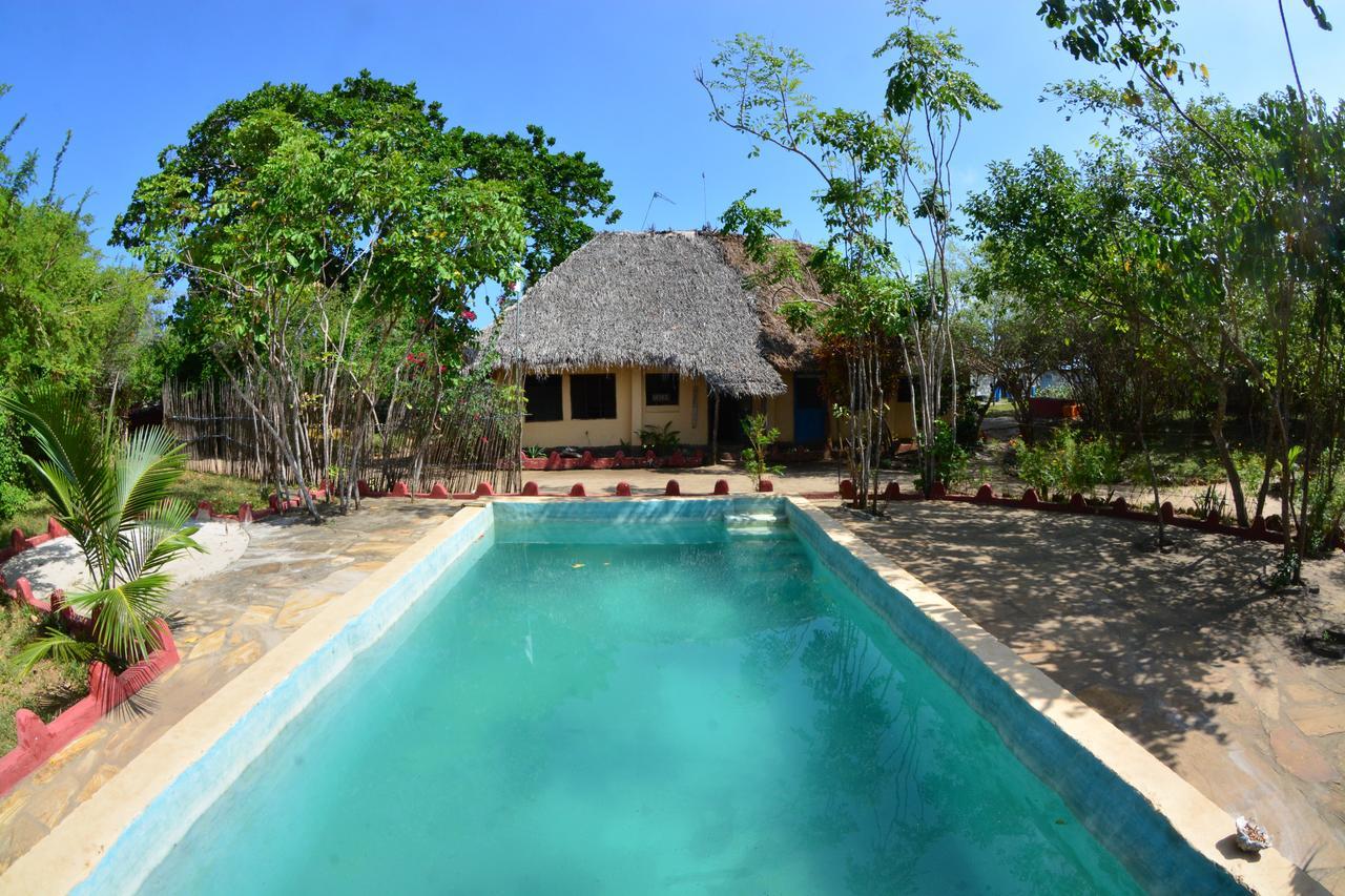 Gecko Nature Lodge Home Of Swahili Divers The Best Dive Center And Famous Gecko Restaurant Verani Exterior photo