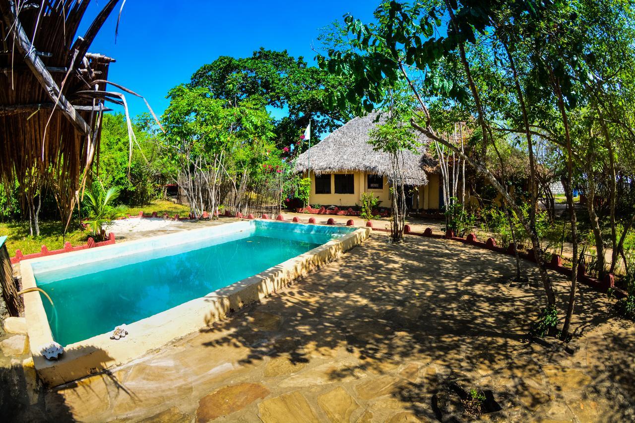 Gecko Nature Lodge Home Of Swahili Divers The Best Dive Center And Famous Gecko Restaurant Verani Exterior photo