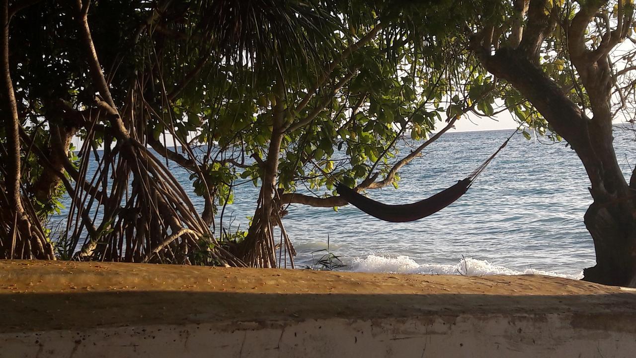 Gecko Nature Lodge Home Of Swahili Divers The Best Dive Center And Famous Gecko Restaurant Verani Exterior photo