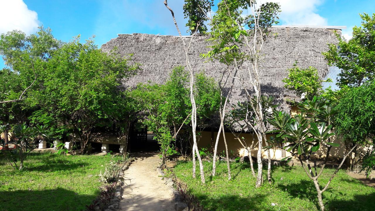 Gecko Nature Lodge Home Of Swahili Divers The Best Dive Center And Famous Gecko Restaurant Verani Exterior photo
