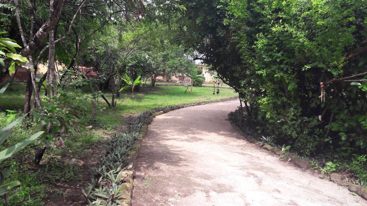 Gecko Nature Lodge Home Of Swahili Divers The Best Dive Center And Famous Gecko Restaurant Verani Exterior photo