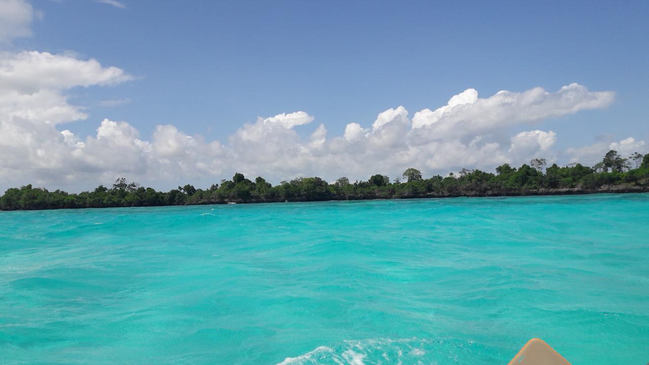Gecko Nature Lodge Home Of Swahili Divers The Best Dive Center And Famous Gecko Restaurant Verani Exterior photo